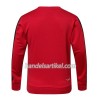 Kinder AC Mailand Sweatshirts Anzüge 2017-18 Rot